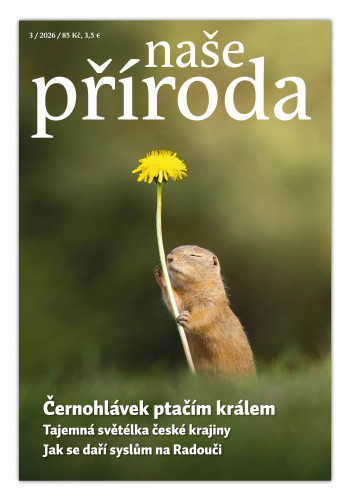 Naše příroda