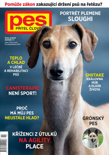 Pes přítel člověka