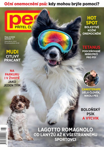 Pes přítel člověka