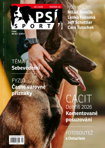 Psí sporty