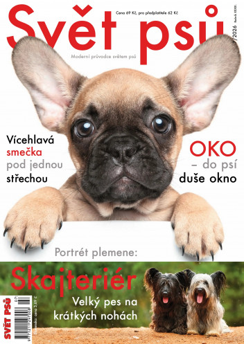 Svět psů