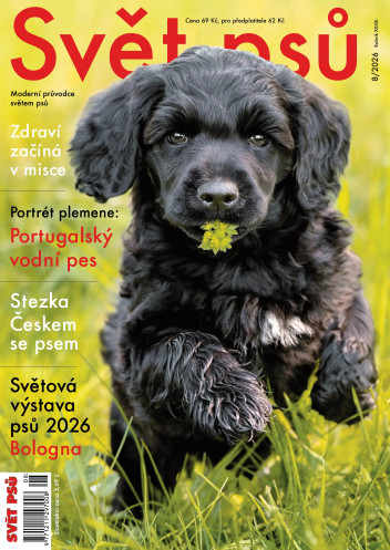 Svět psů