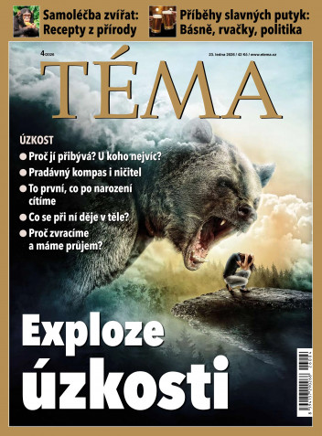 TÉMA