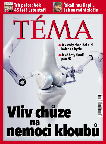 TÉMA