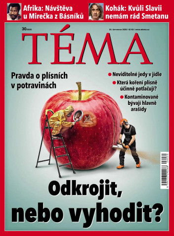 TÉMA