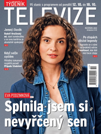 Týdeník televize