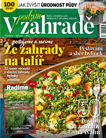 V zahradě