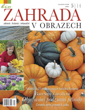 Zahrada v obrazech