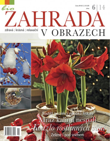 Zahrada v obrazech