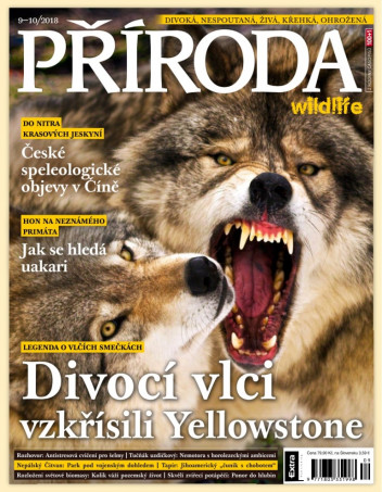 Příroda