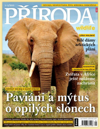 Příroda