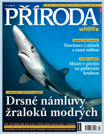 Příroda