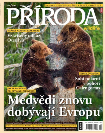 Příroda