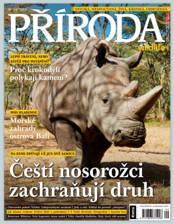 Příroda