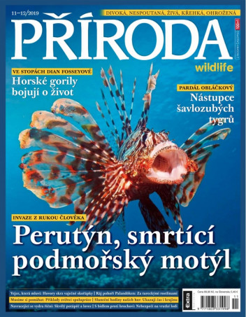 Příroda