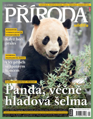 Příroda