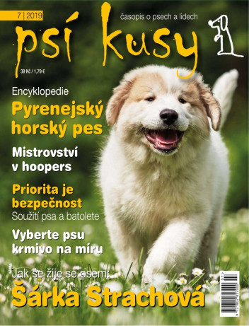 Psí kusy