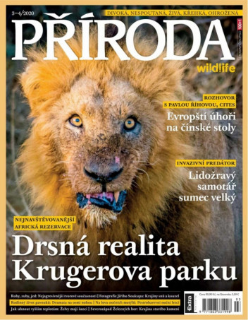 Příroda