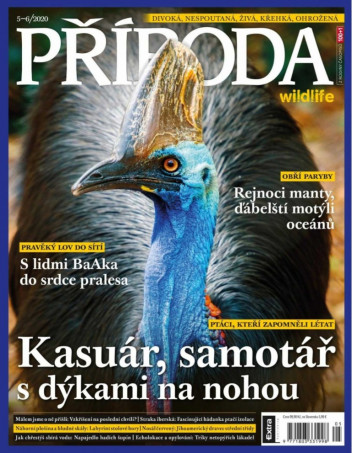 Příroda