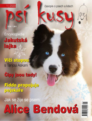 Psí kusy