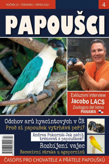 Papoušci