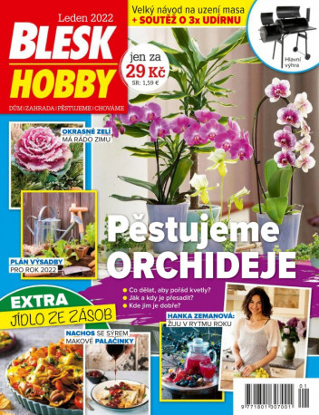 Blesk Hobby