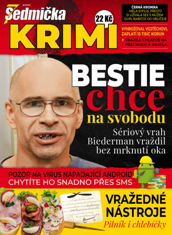 Sedmička Krimi