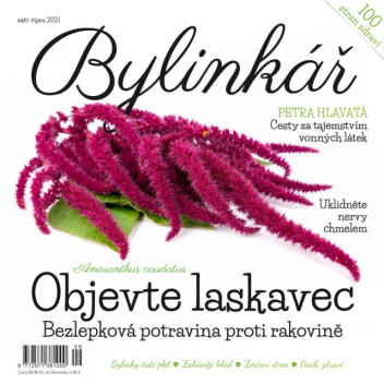 Bylinkář