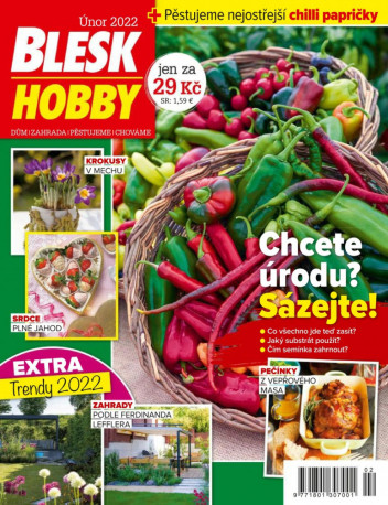 Blesk Hobby