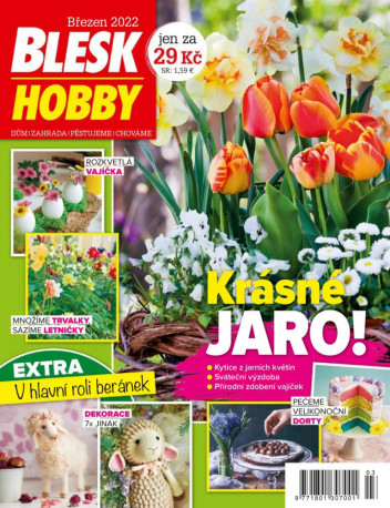Blesk Hobby