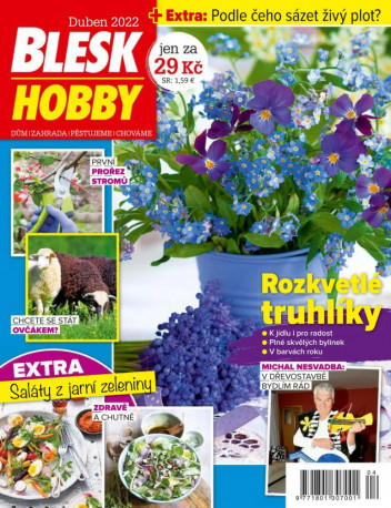 Blesk Hobby
