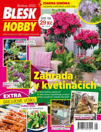 Blesk Hobby
