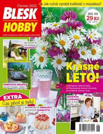 Blesk Hobby