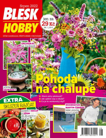 Blesk Hobby