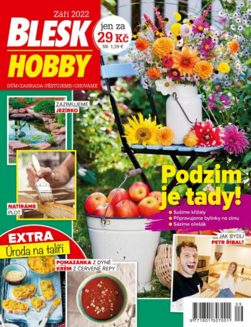 Blesk Hobby