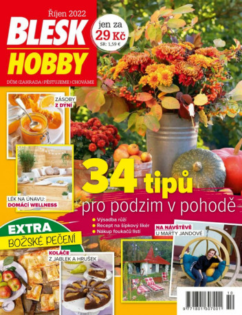 Blesk Hobby