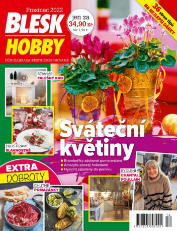 Blesk Hobby