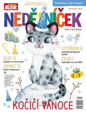 Nedělníček