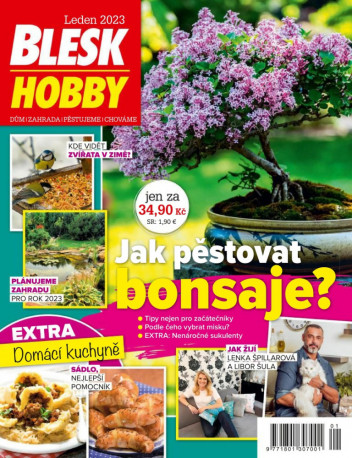 Blesk Hobby