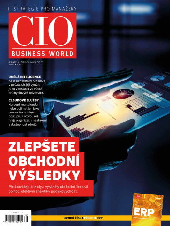 CIO Business World