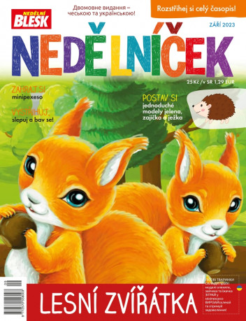 Nedělníček