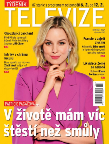Týdeník televize