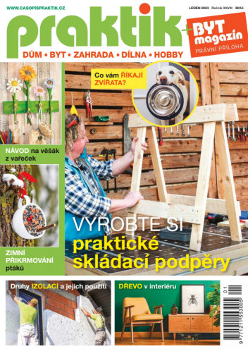 Praktik