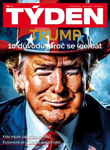 Týden