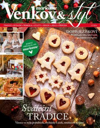 Marianne Venkov & Styl