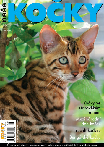 Naše kočky