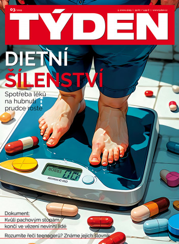 Týden