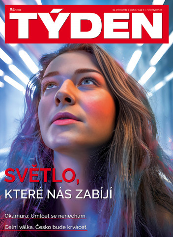 Týden