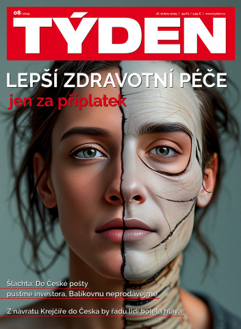 Týden