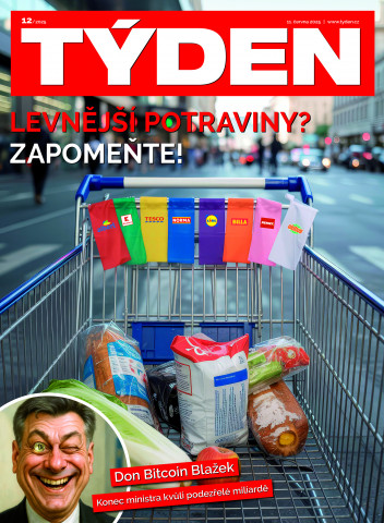 Týden